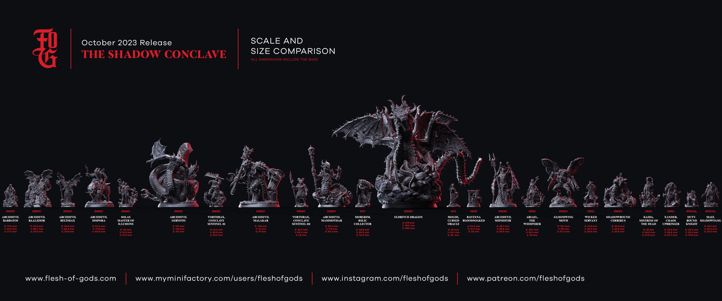 Schattenmagier Miniatur | Solas, Master Of Illusions | Warlock | Mage - Flesh of Gods