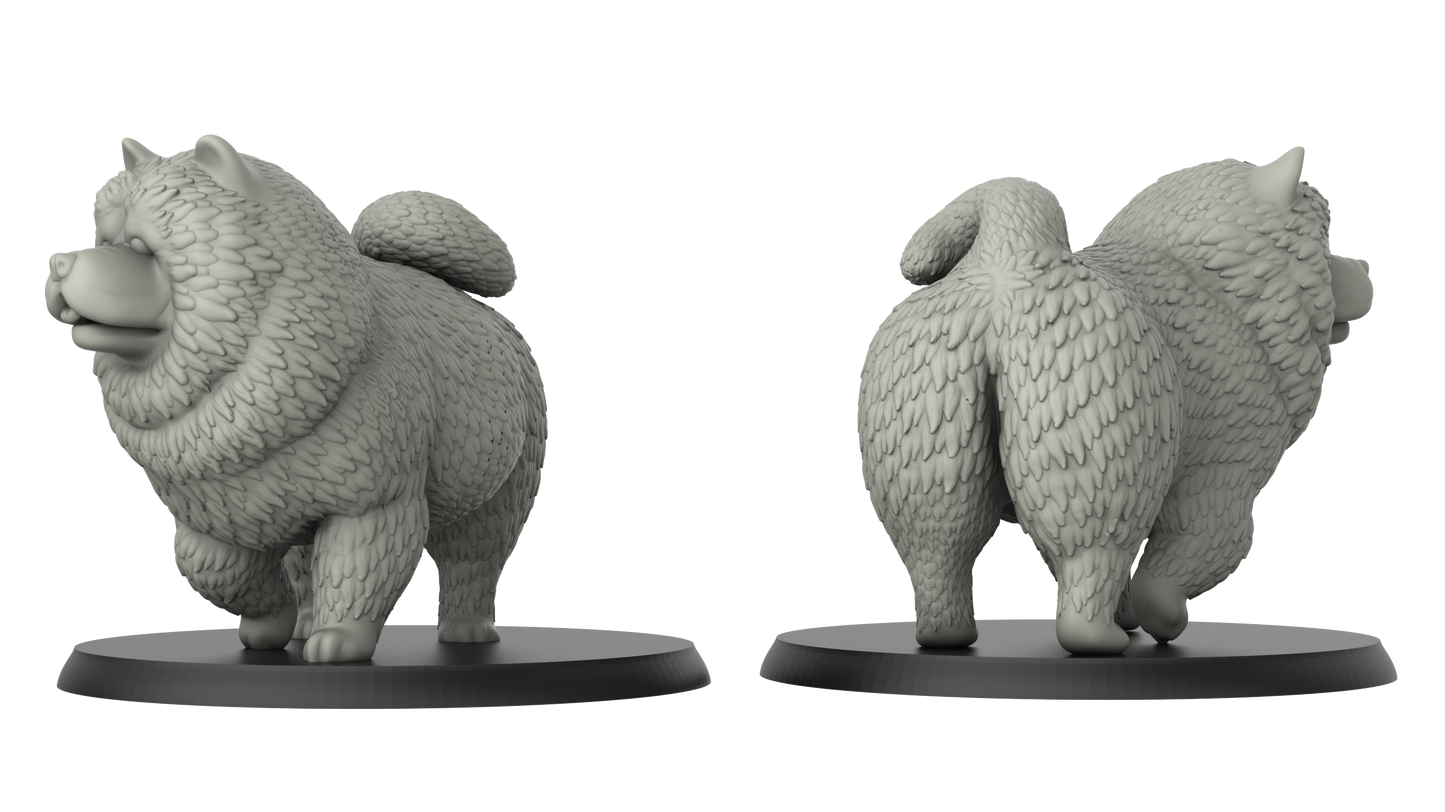 Hund Chow-Chow Miniatur - 3DIP Studios