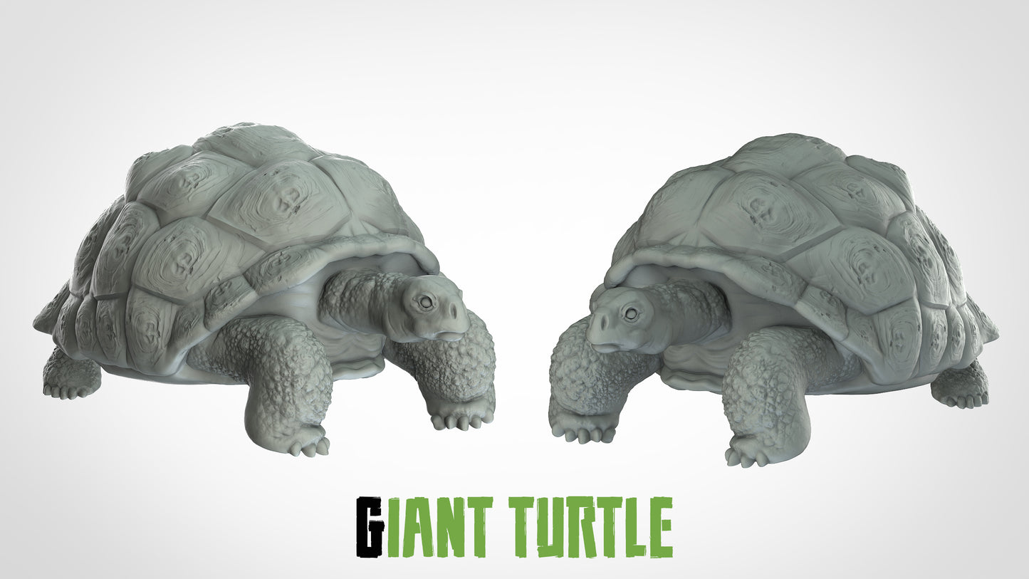 Große Schildkröte Miniatur - 3DIP Studios