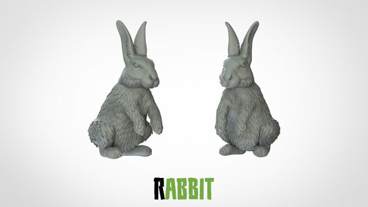 Kaninchen Miniatur - 3DIP Studios