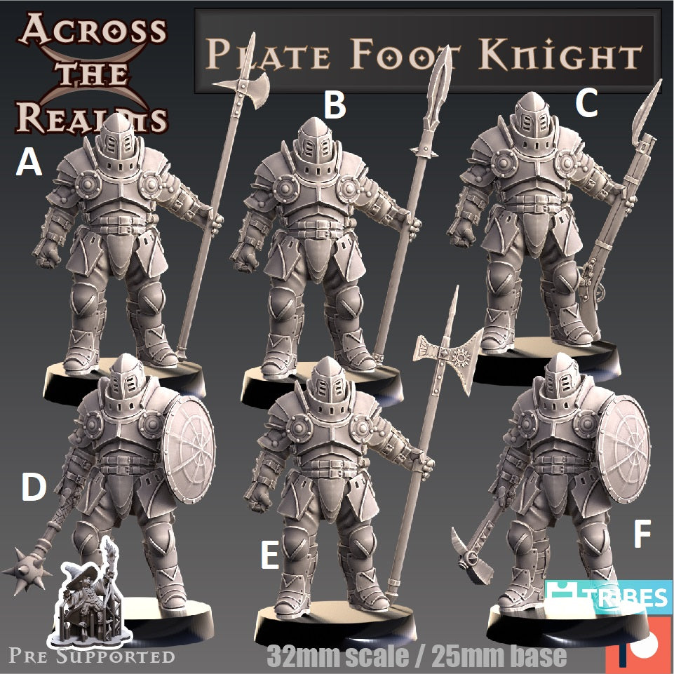 Plate Foot Knight Miniature - Ritter Miniatur | Across the Realms