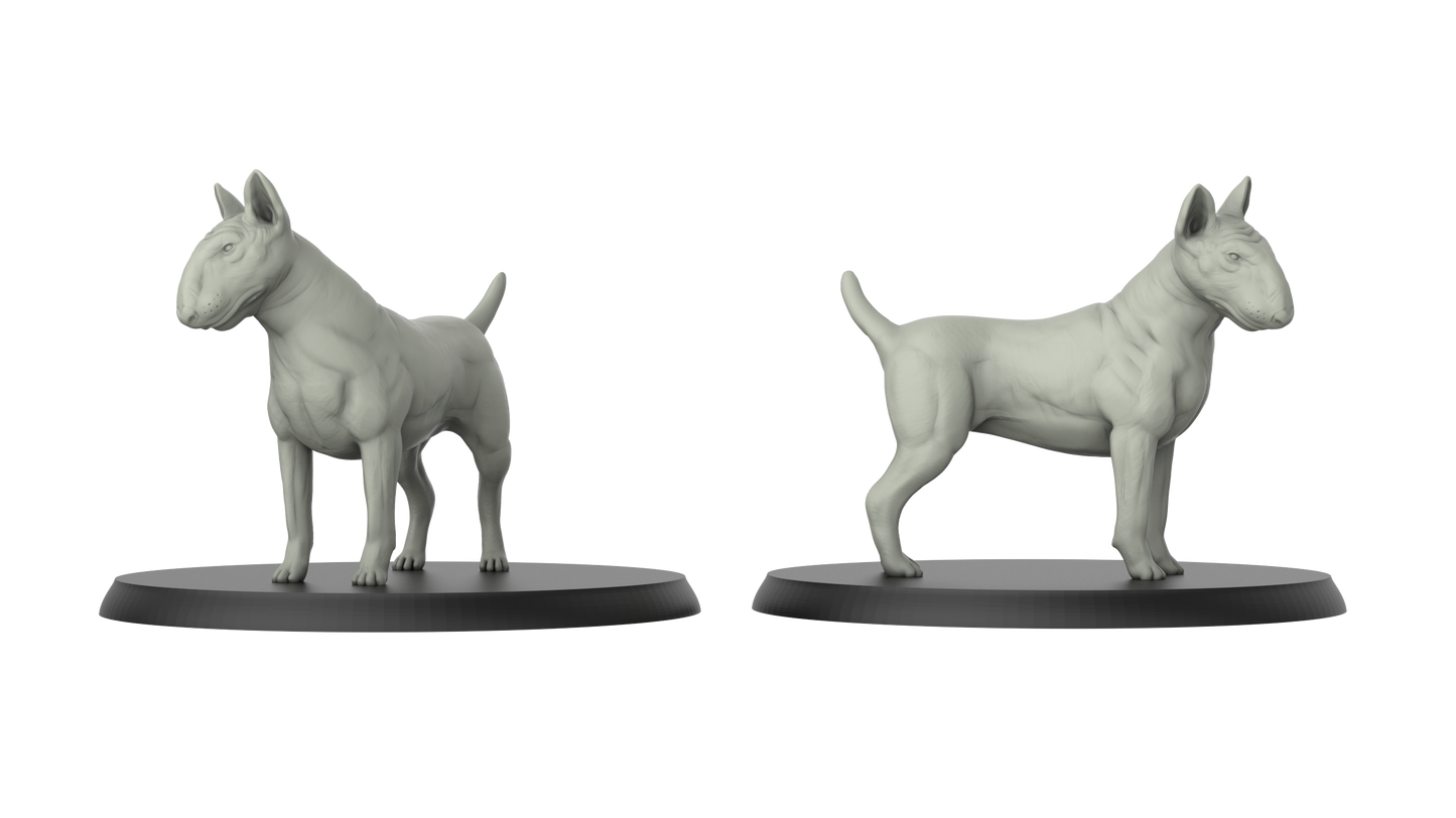 Hund Bullterrier Miniatur - 3DIP Studios