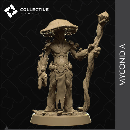 Mykonid Miniatur | Dungeons and Dragons | Mushroom Krieger | Collective Stuido