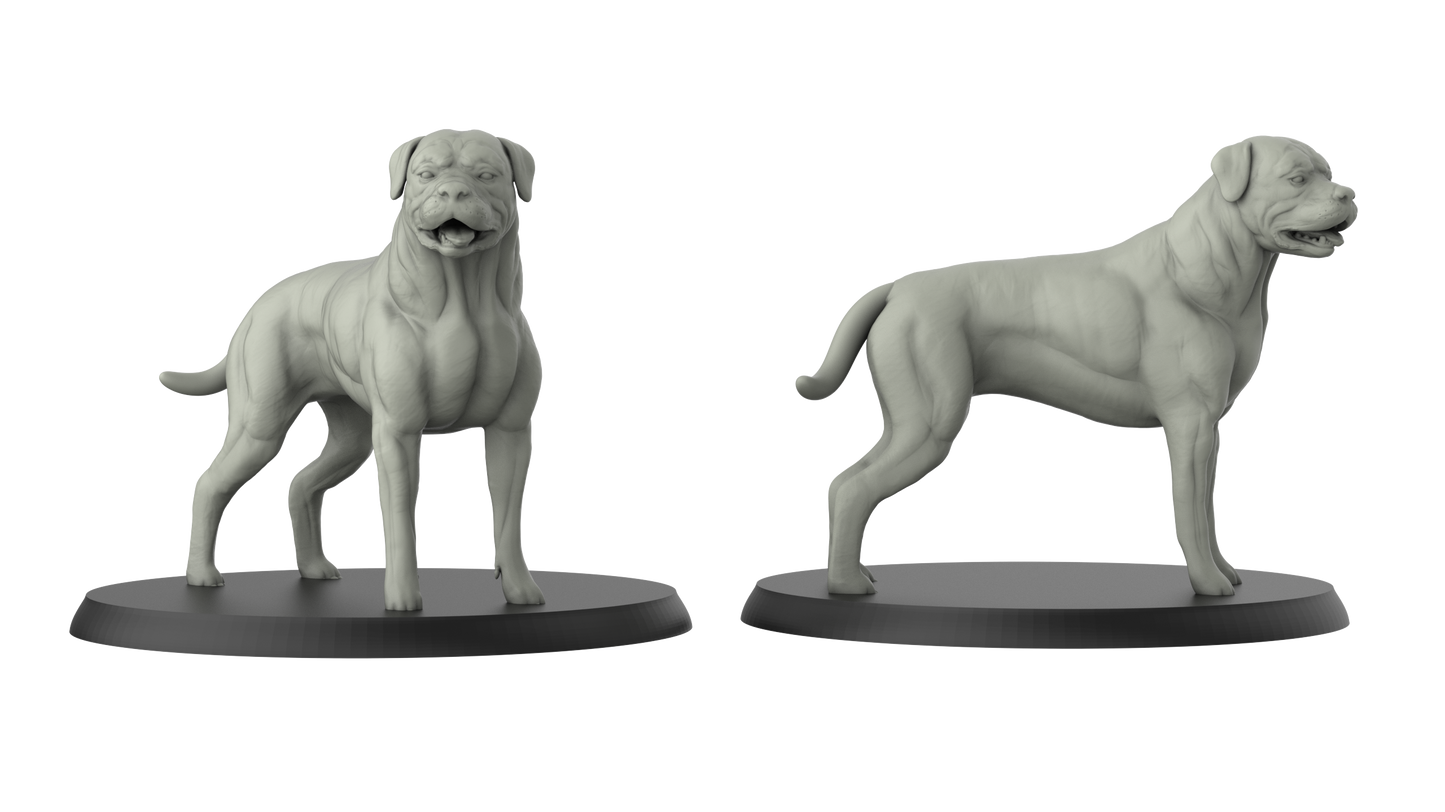 Hund Rottweiler Miniatur - 3DIP Studios