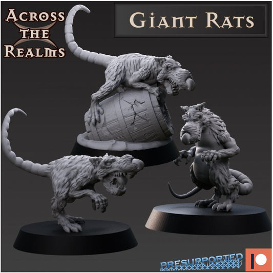 3x Riesenratten Miniatur Tabletop - Across the Realms