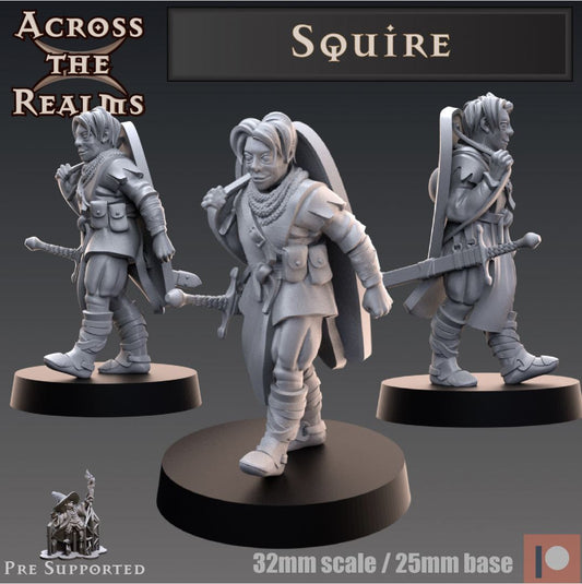 NPC Miniatur Knappe - Across the Realms